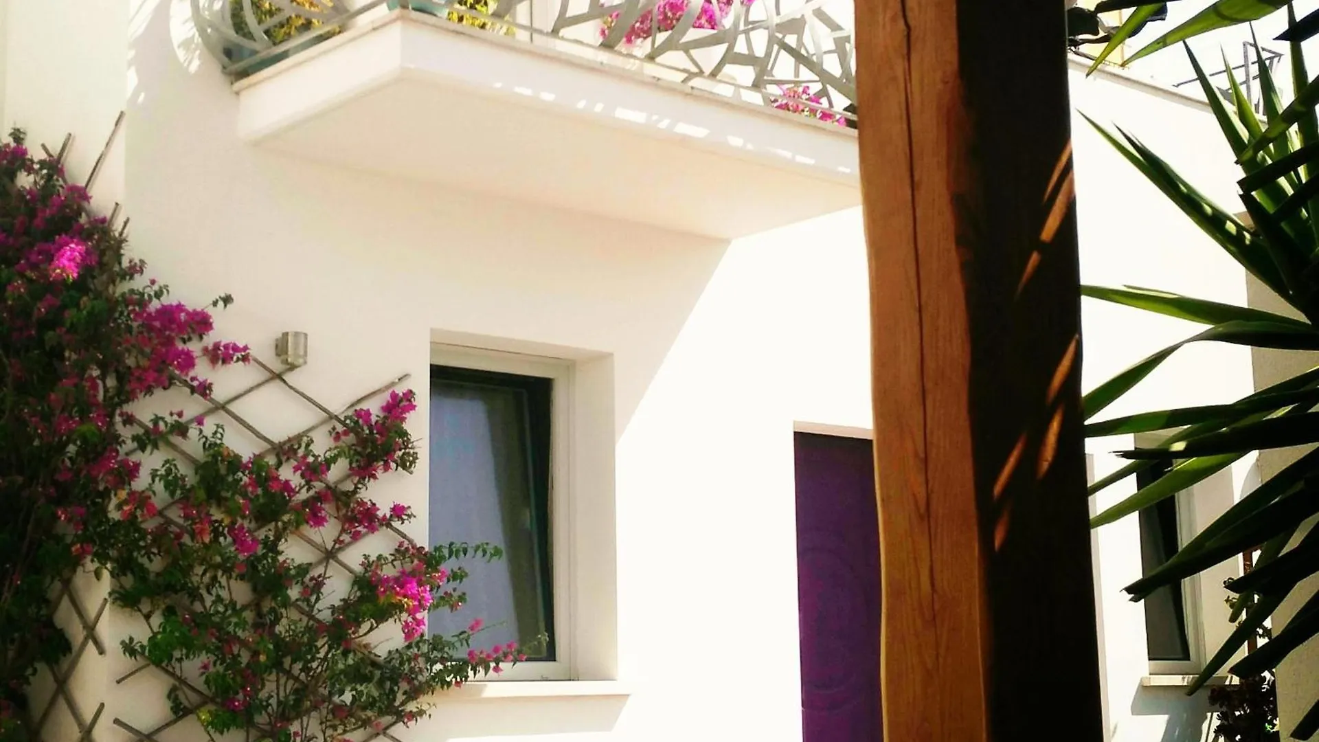 Bed & Breakfast B&B Domus De Janas Santa Teresa Gallura Italy